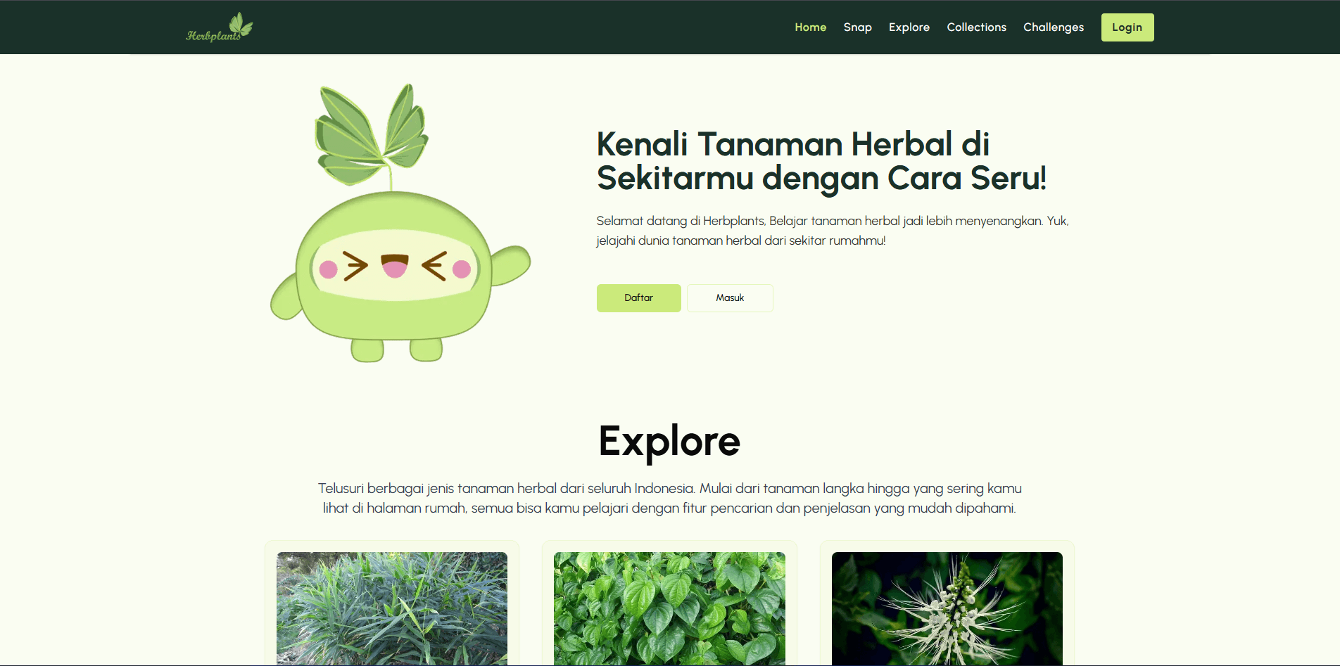 Herb Plants Encyclopedia